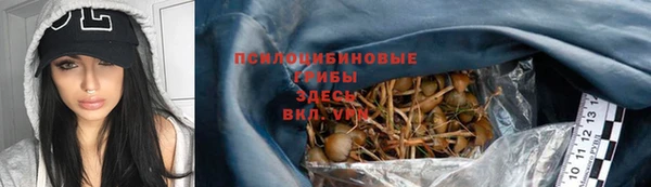 ПСИЛОЦИБИНОВЫЕ ГРИБЫ Медногорск