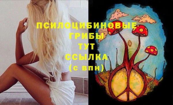 стаф Мегион