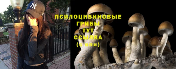 ПСИЛОЦИБИНОВЫЕ ГРИБЫ Медногорск